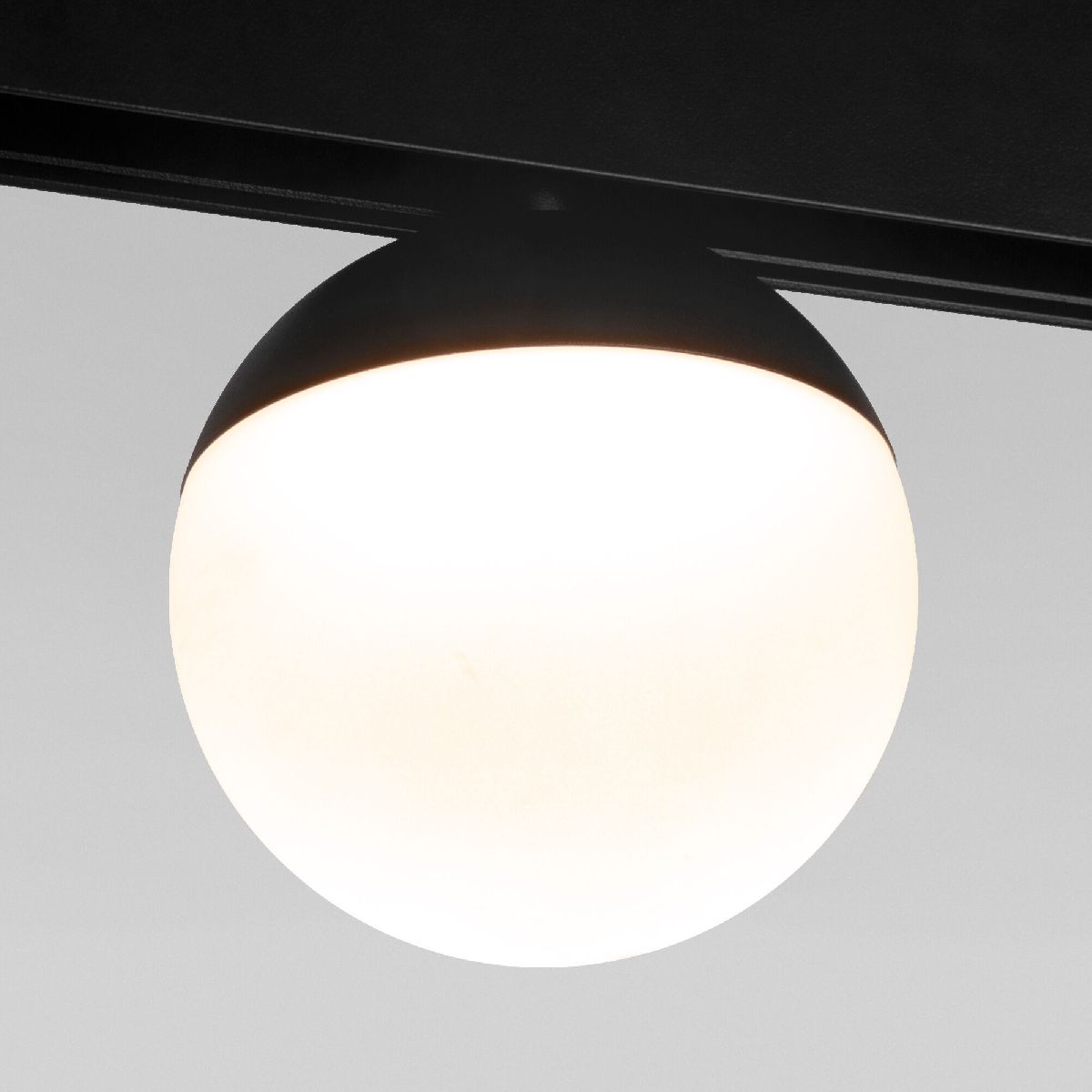 Магнитный трековый светильник Elektrostandard Neid 4690389190834 a062124