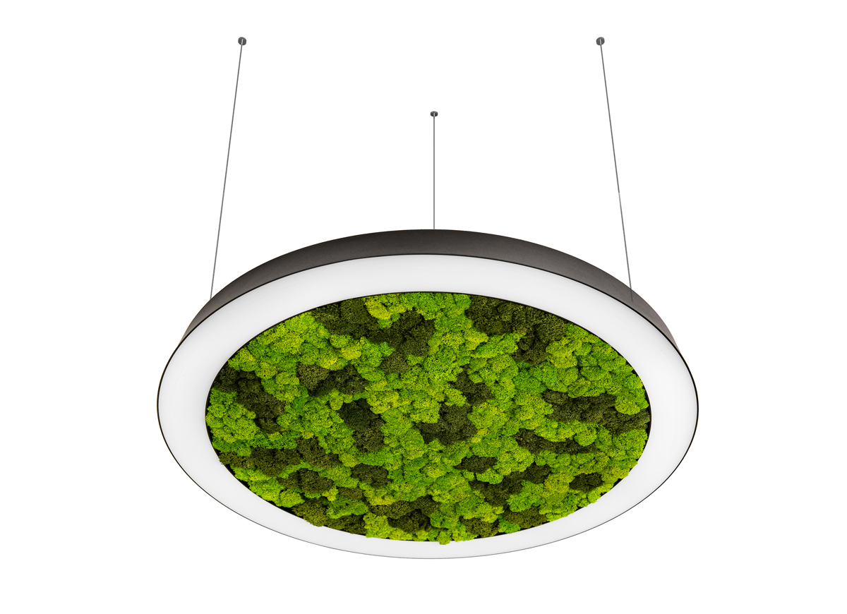 Подвесная люстра Donolux Aura Moss DL1000S90WW Moss Black