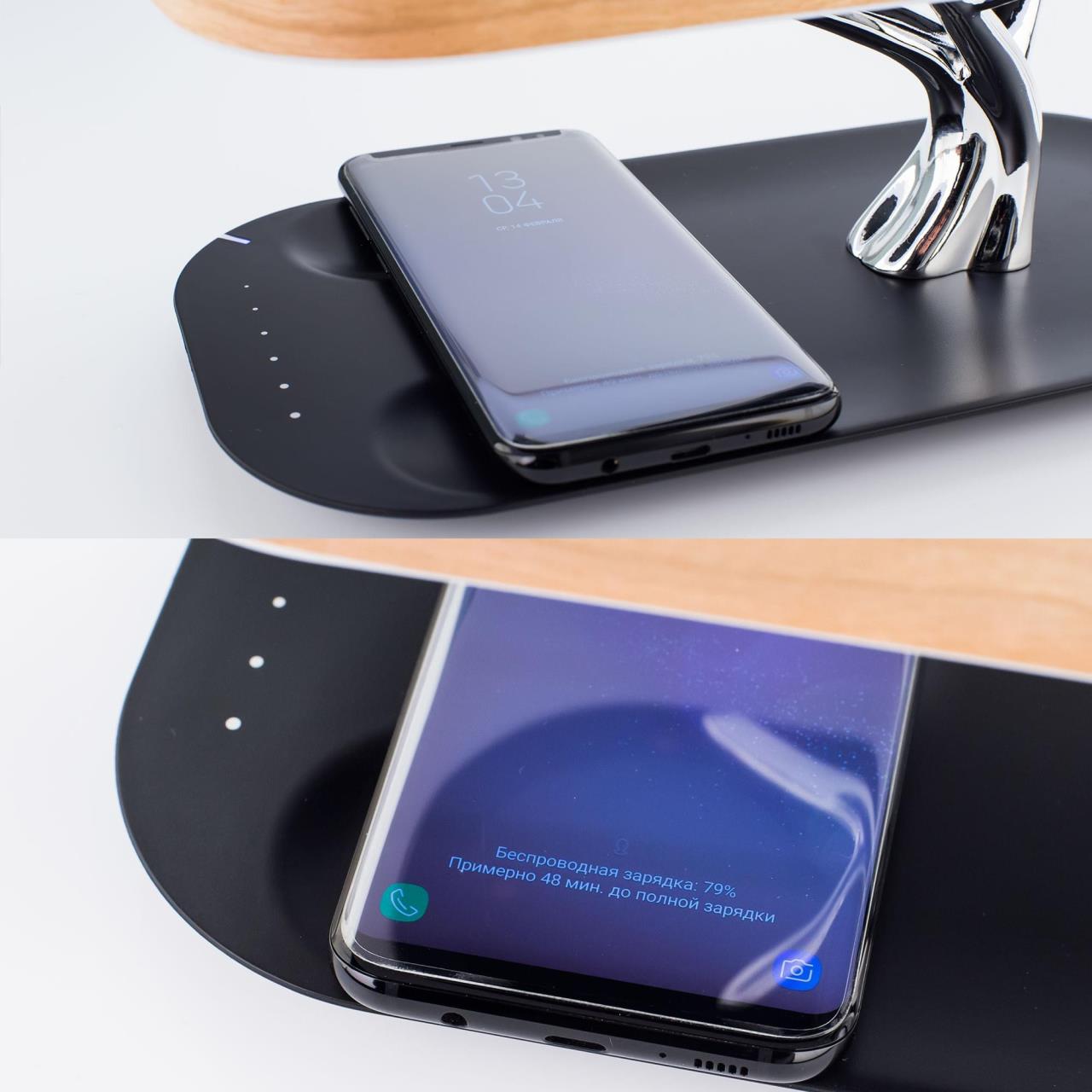 Настольная лампа Citilux Ньютон CL803042 в Москве