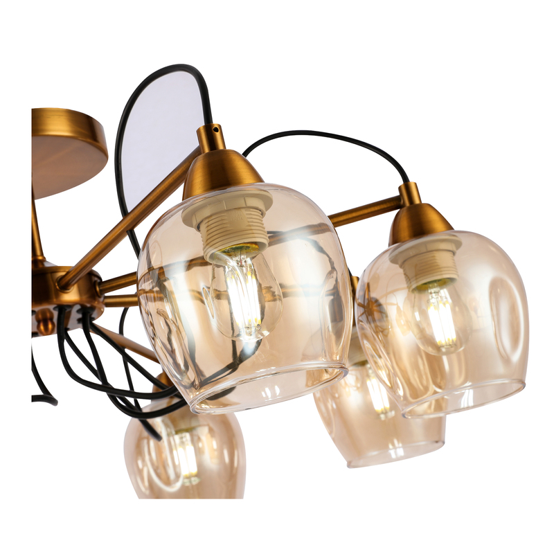 Потолочный светильник EVOLUCE ACRO SLE110002-08