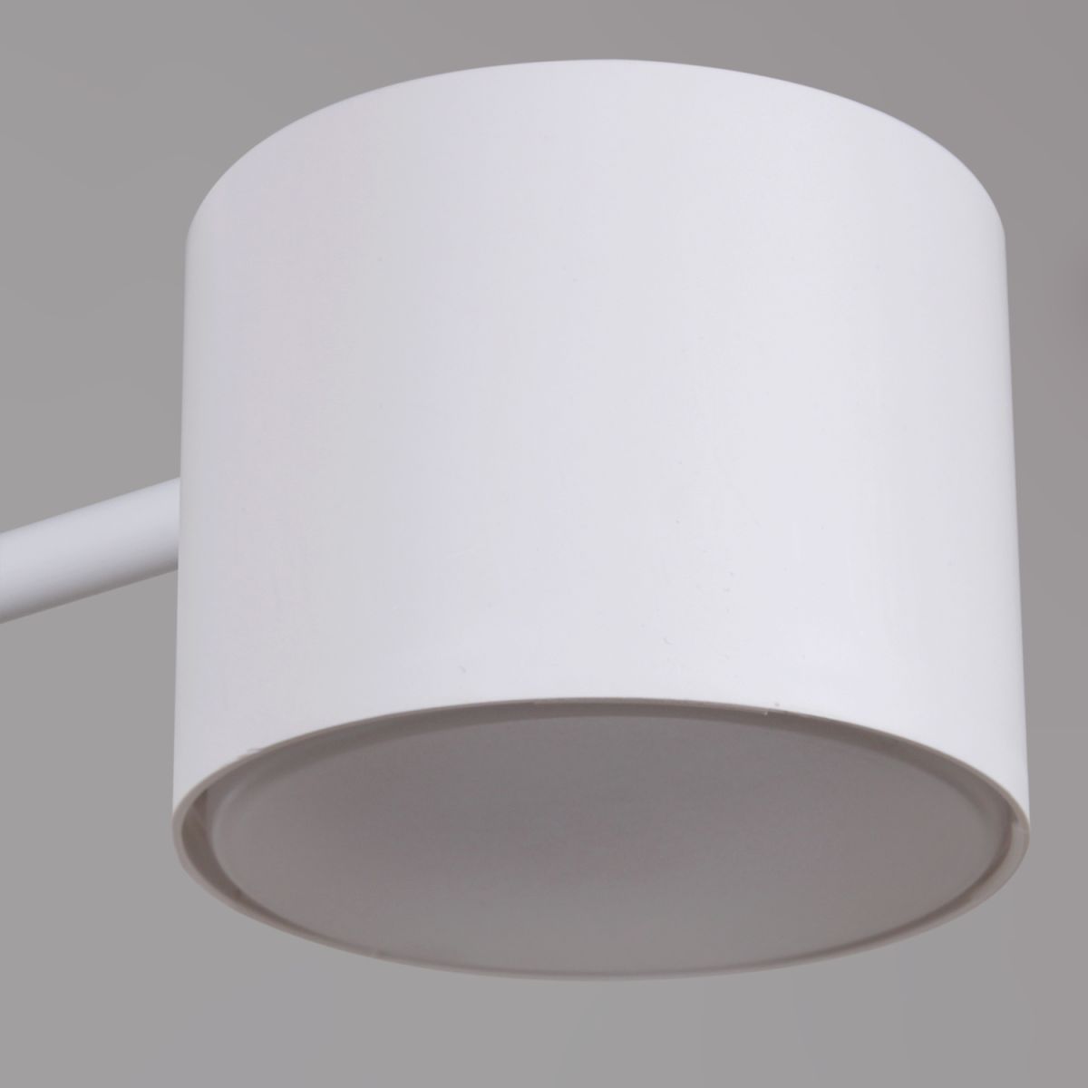 Люстра на штанге Reluce 47206-0.3-06WT