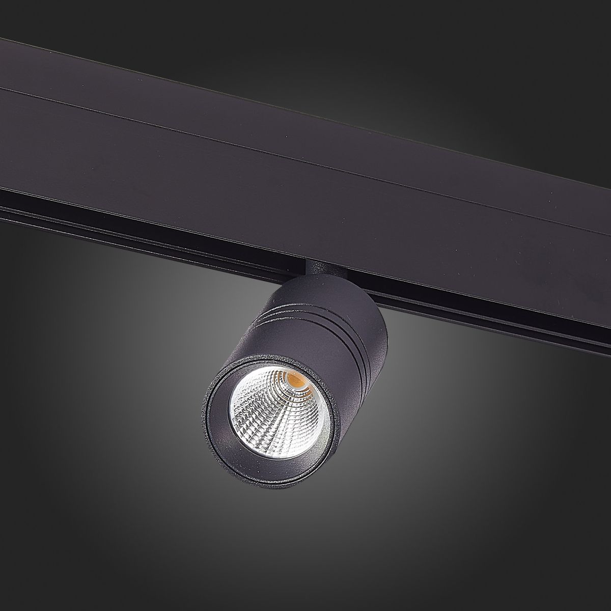 Трековый светильник ST Luce Lemmi ST365.446.07 УЦ