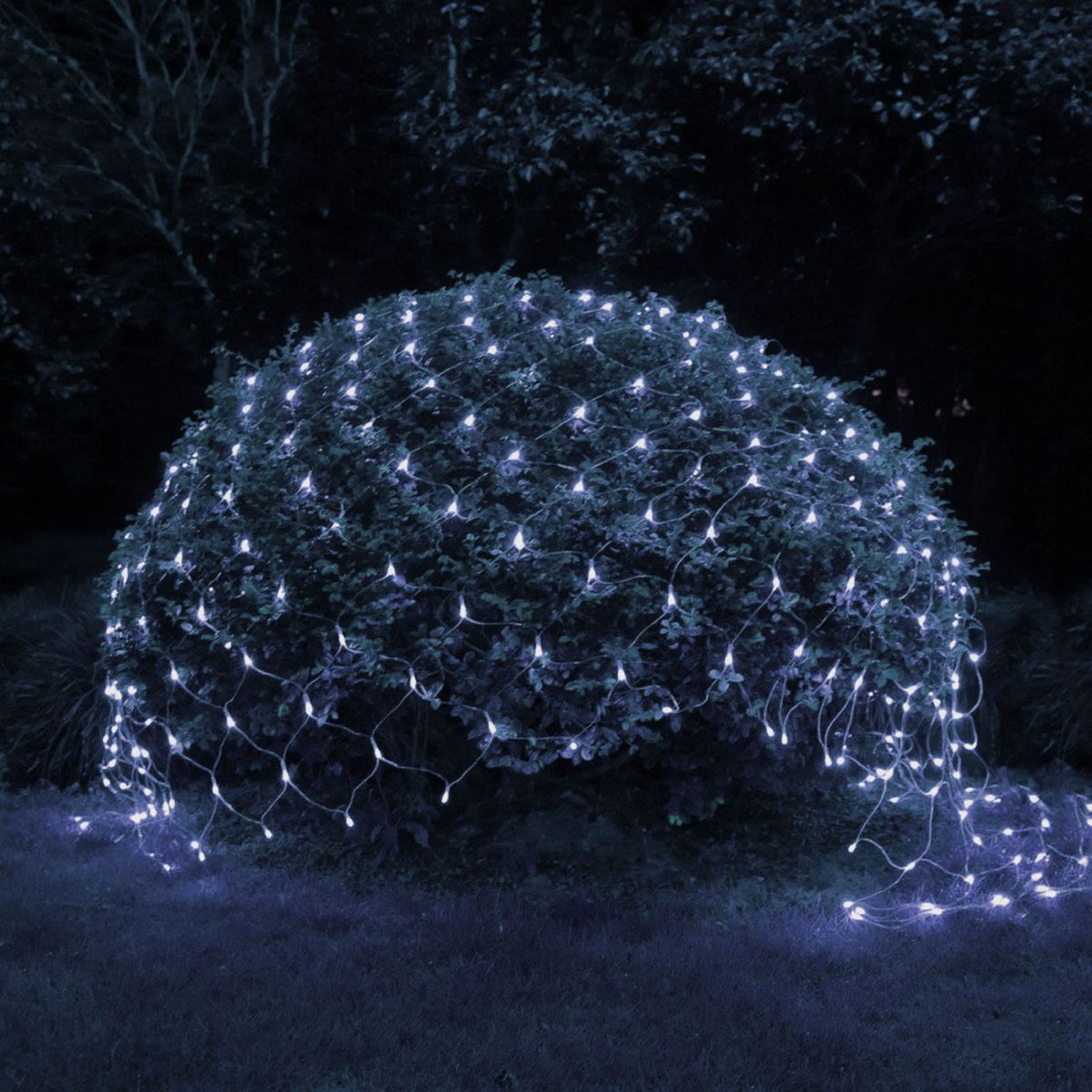 Уличная гирлянда Сеть Эра ERASS024-15 Б0044224