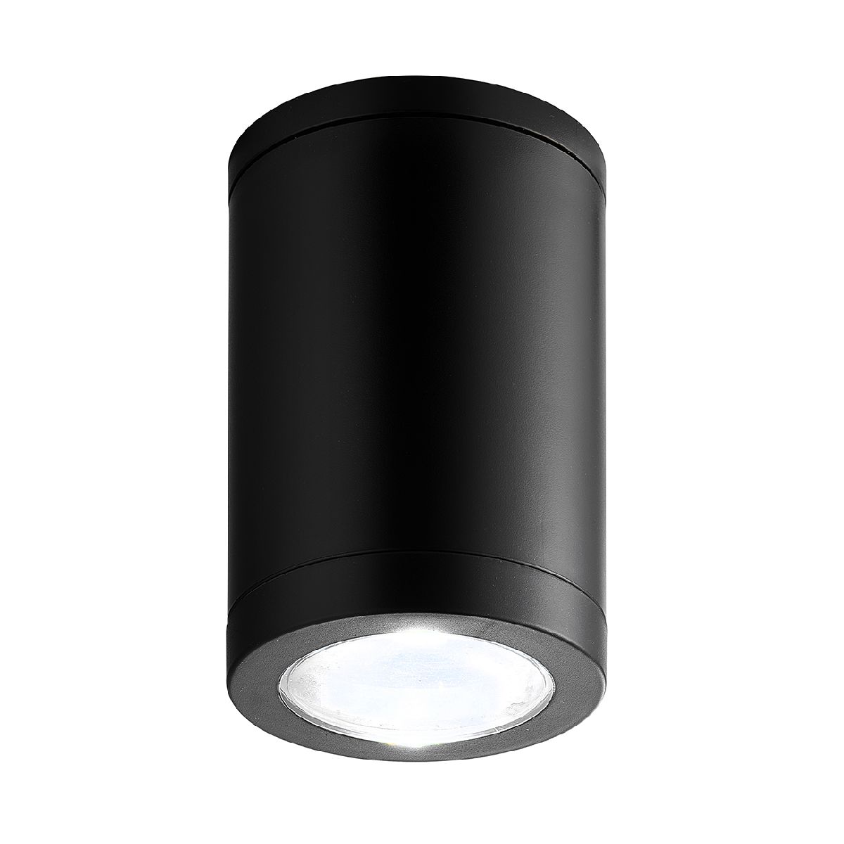 Потолочный уличный светильник Escada 30008 30008P/01 УЦ