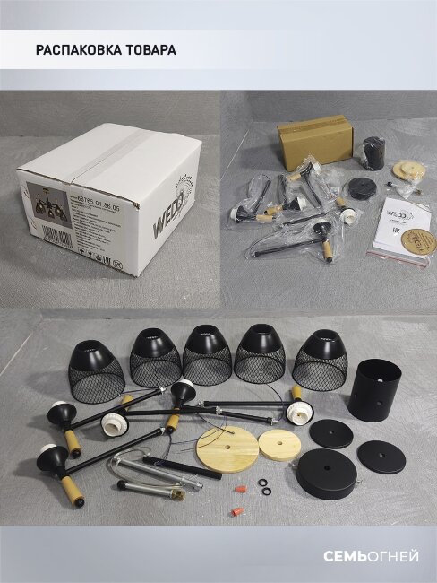 Люстра на штанге Wedo Light Adion WD3500/5C-BK