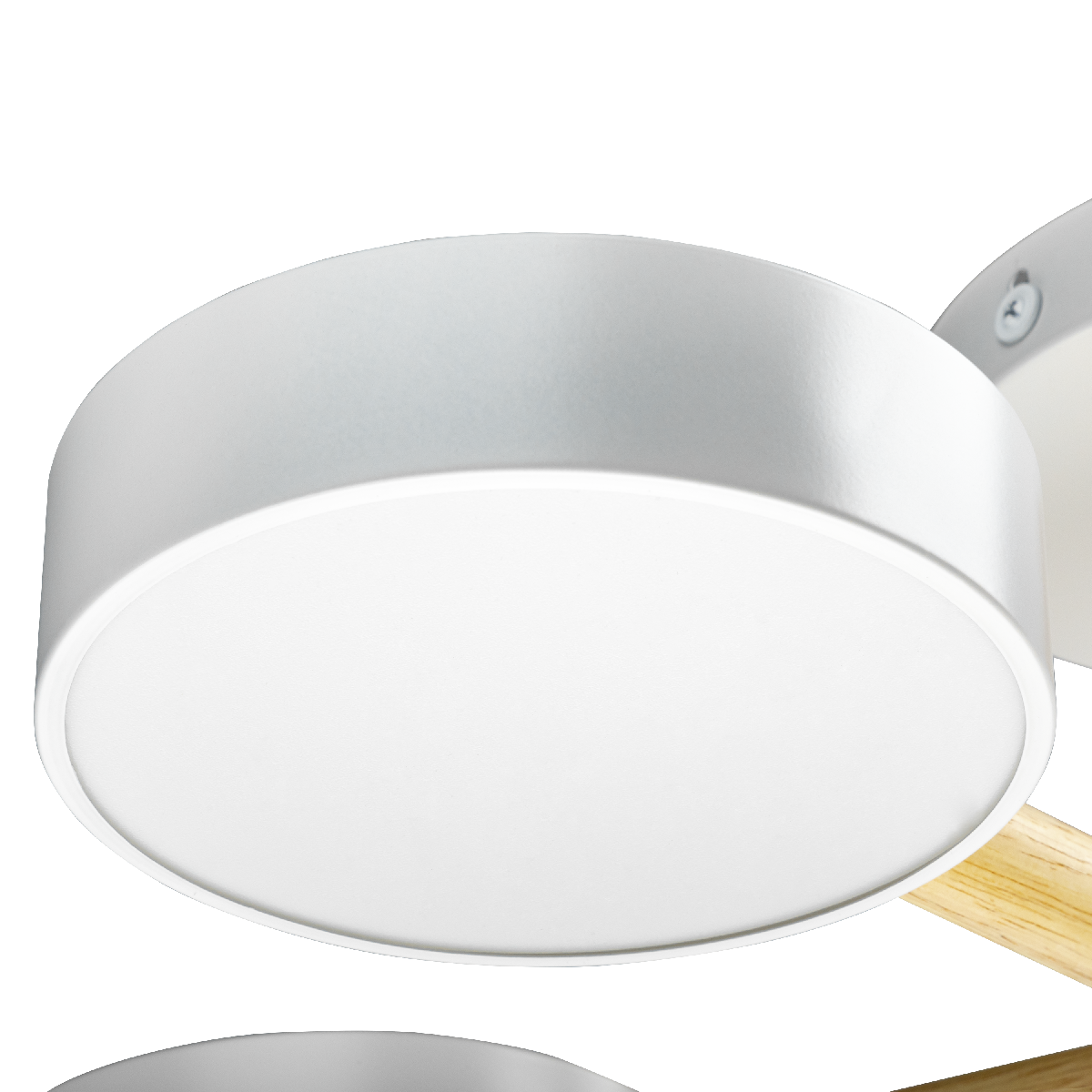 Люстра на штанге Ritter Scandia 51591 7