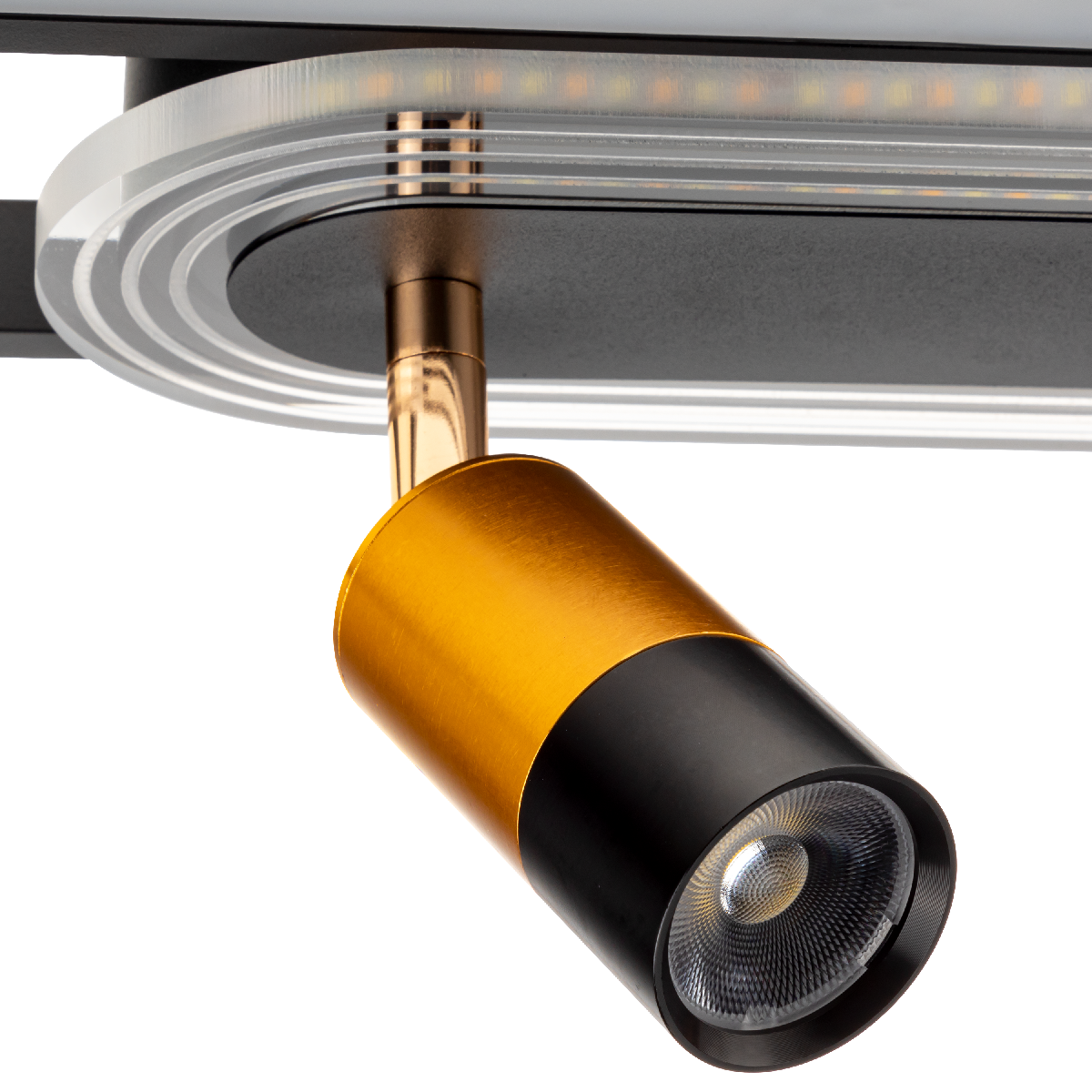 Потолочная люстра Ritter Lanterna 51634 1