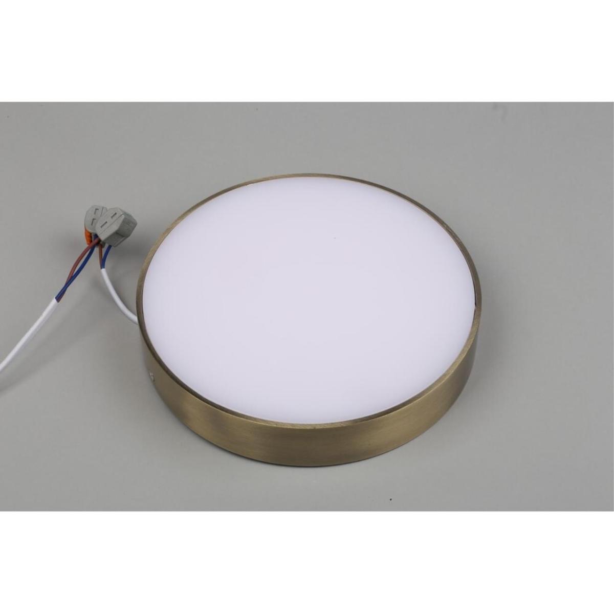 Потолочный светильник Aployt Evon APL.0113.29.24