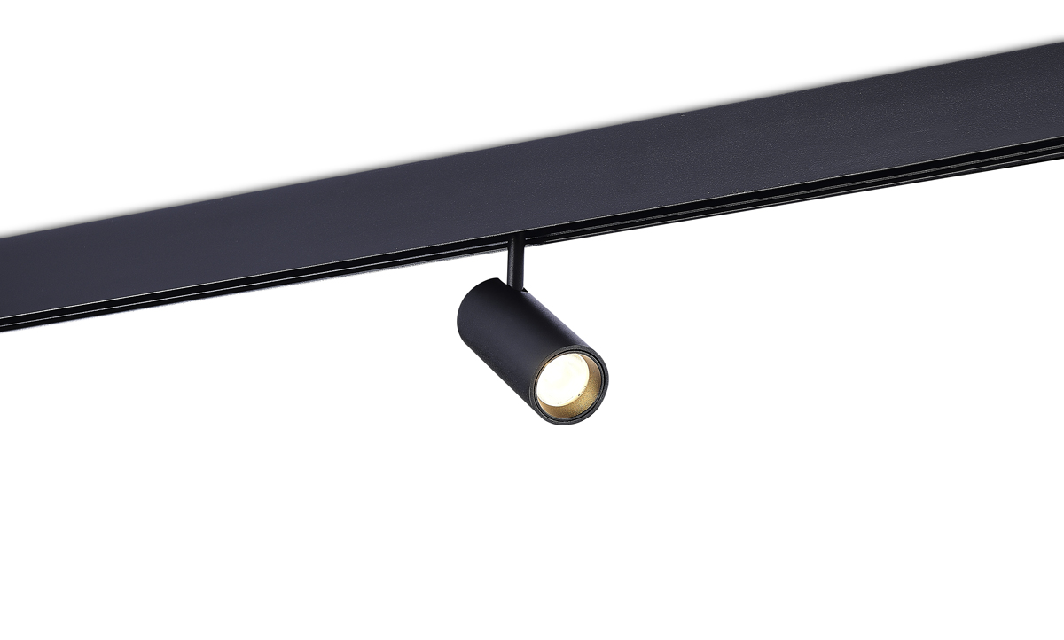 Трековый светильник Donolux Alpha DL20295WW10BND