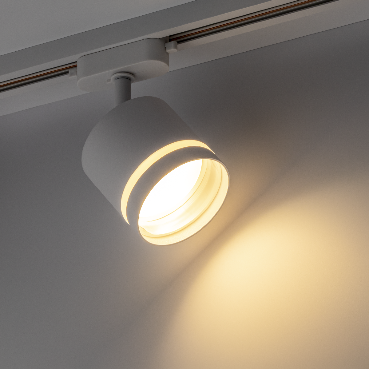 Трековый однофазный светильник Ritter Artline 59865 1