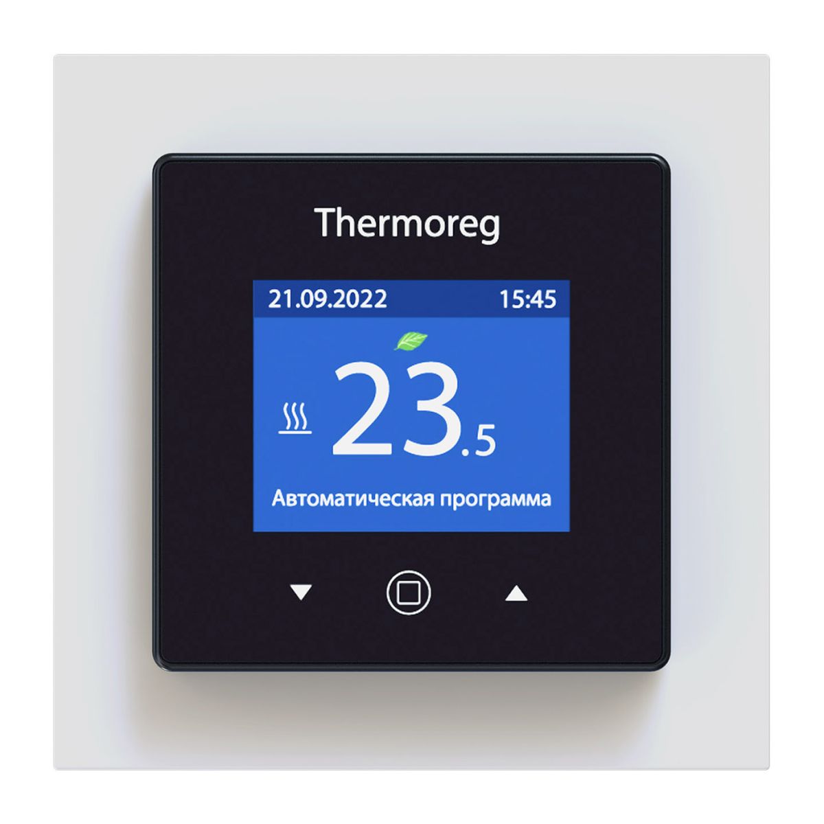 Терморегулятор Thermoreg TI-970