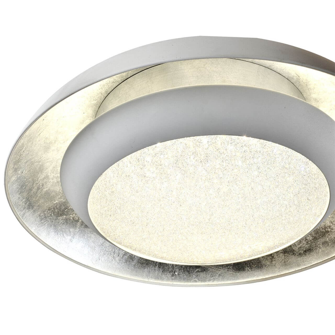 Потолочный светодиодный светильник Favourite Spiegel 2115-2C