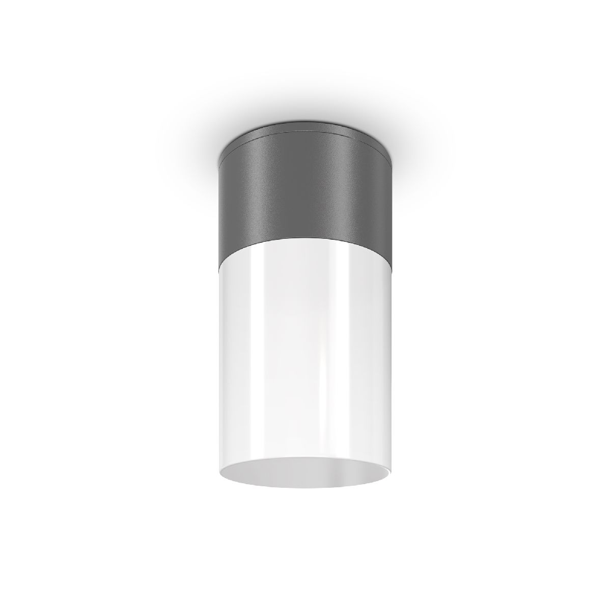 Уличный потолочный светильник Maytoni Willis O418CL-01GR