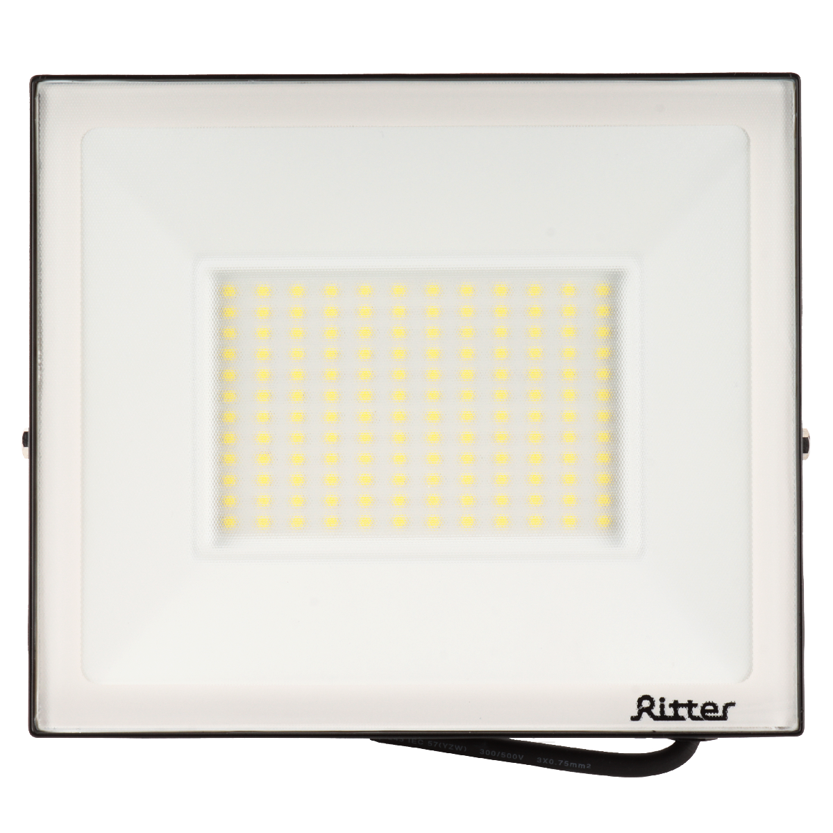 Прожектор Ritter Profi 53410 9