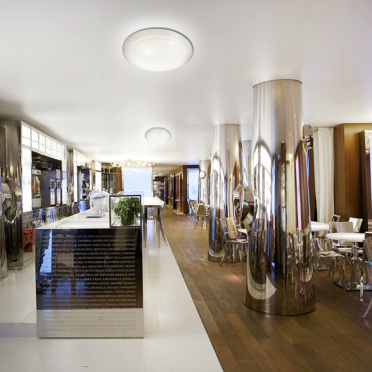 Настенно-потолочный светодиодный светильник Sonex Elle 2042/ML