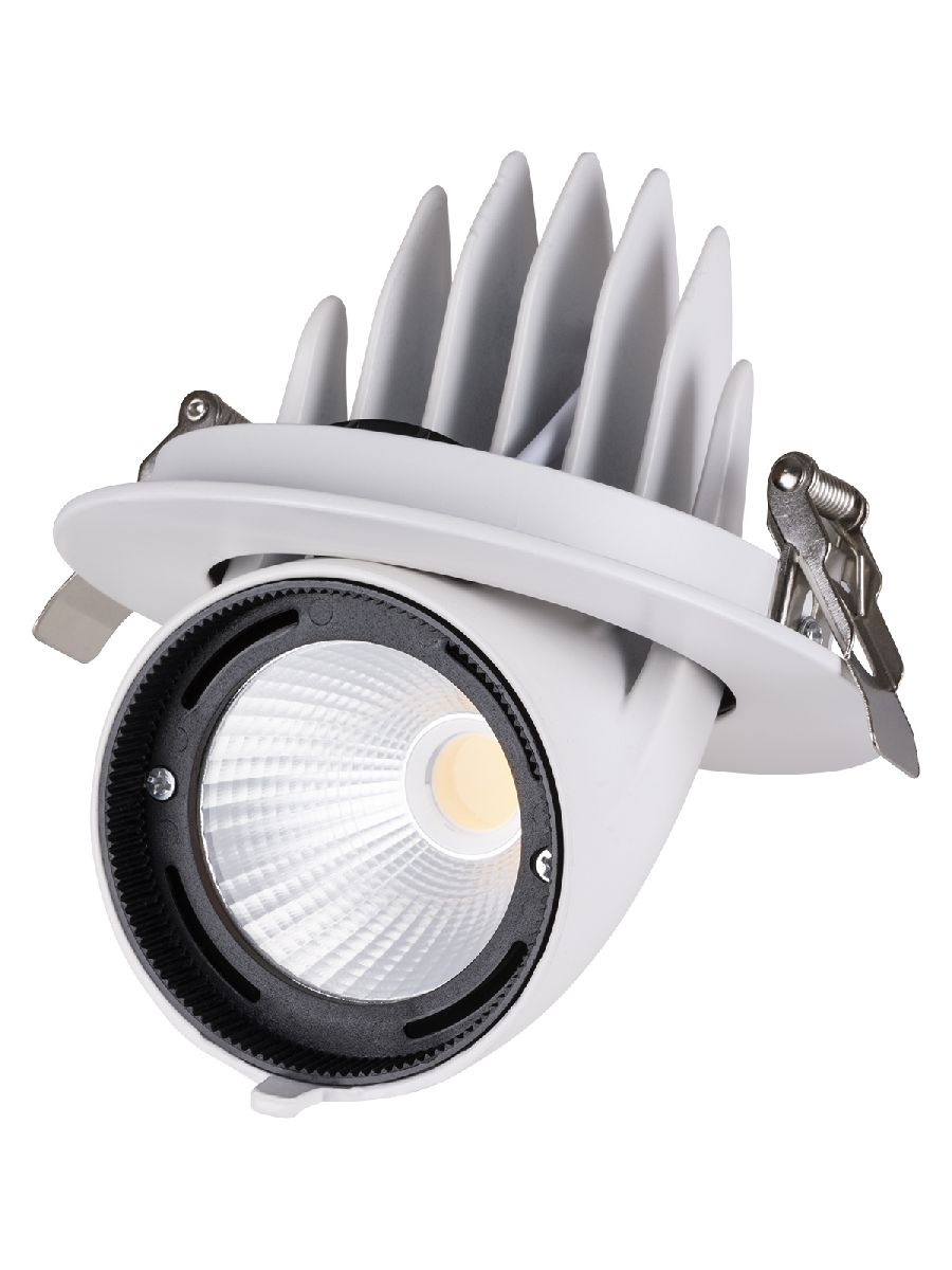 Встраиваемый светодиодный светильник TDM Electric Акцент-1DSL-01-030-WW SQ0369-0401