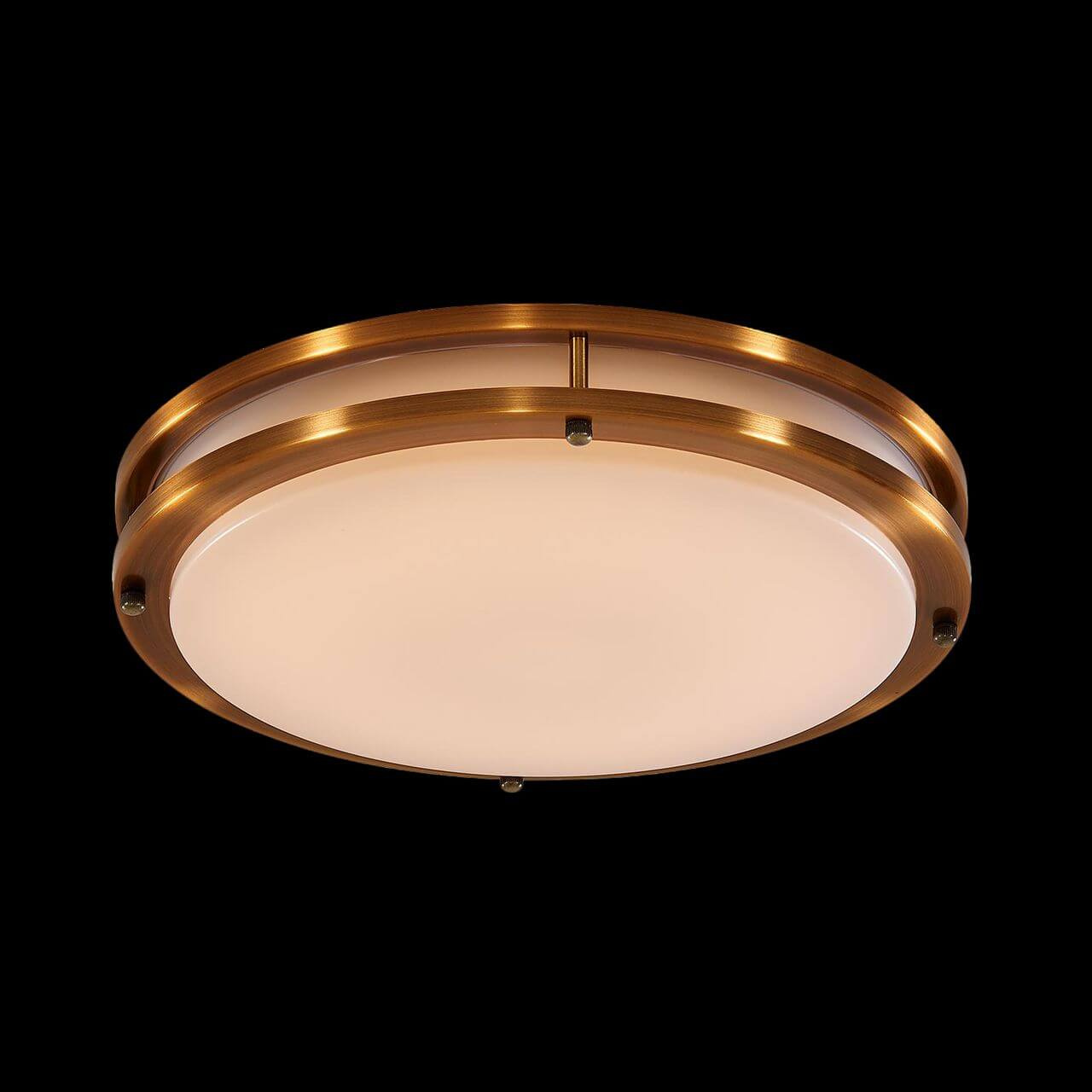 Потолочный светодиодный светильник Citilux Бостон CL709253