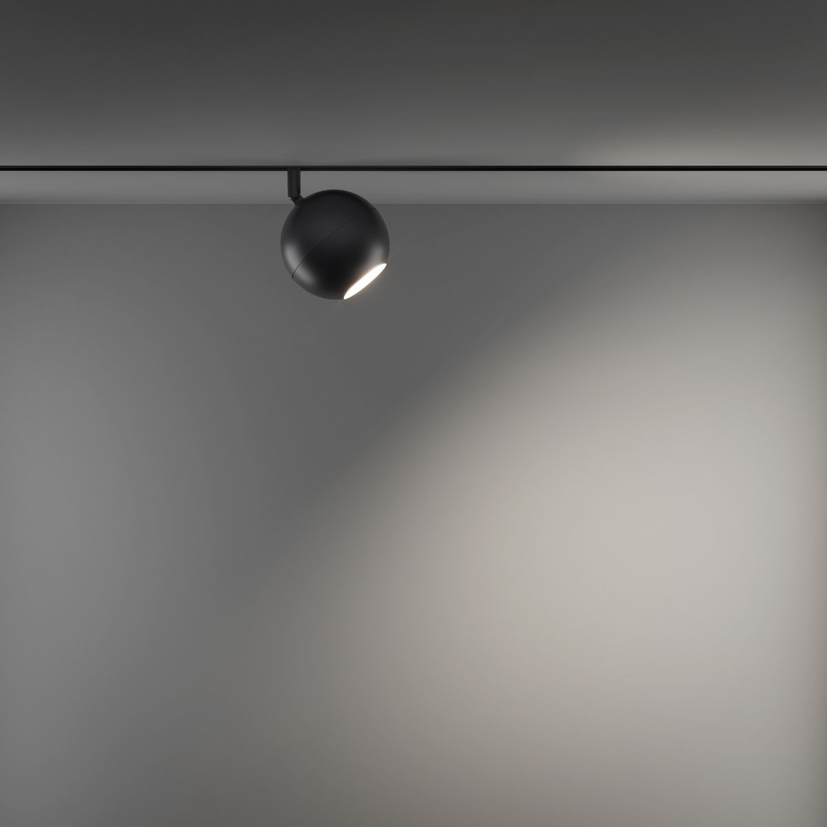 Трековый светильник Maytoni Technical Ball TR028-2-15W3K-B