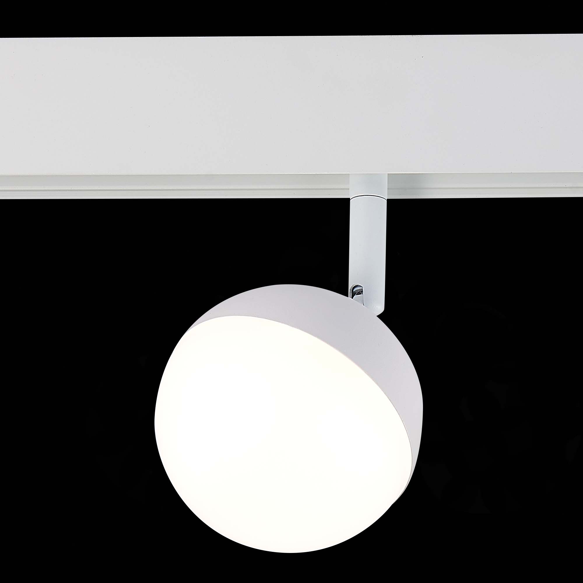 Трековый светодиодный светильник для магнитного шинопровода ST Luce Pibole ST358.546.07