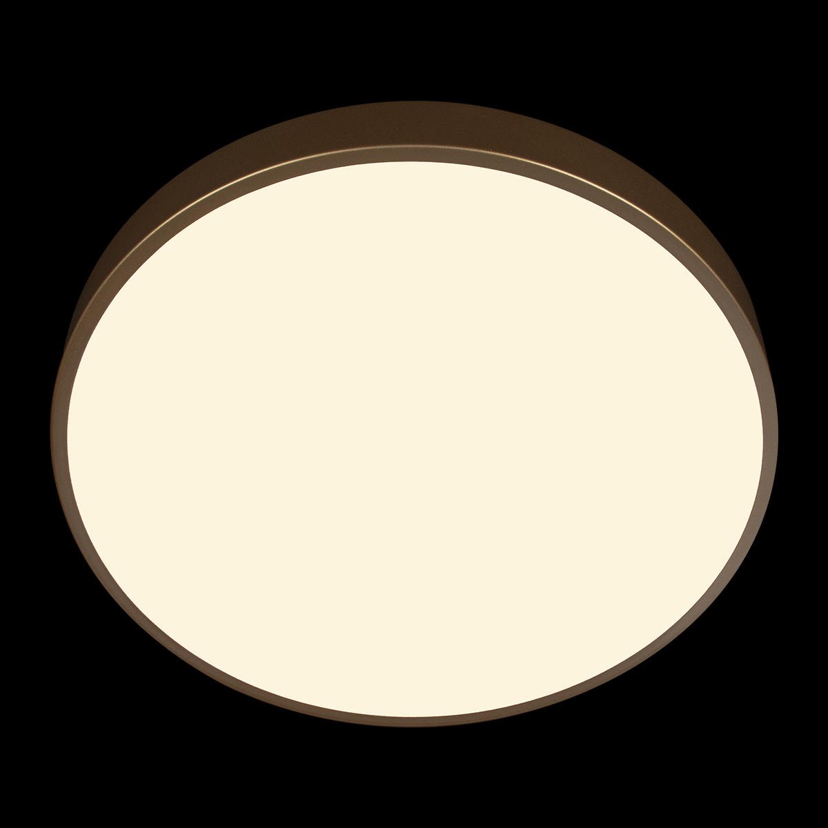 Потолочный светильник Loft IT Flims 10228/A