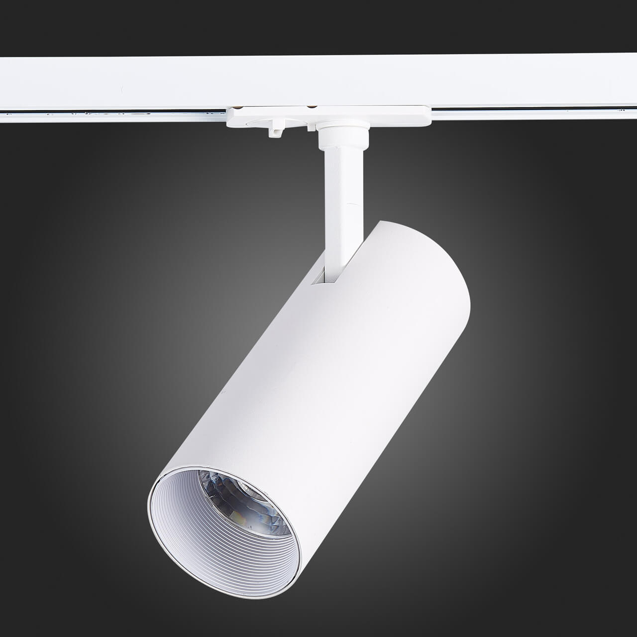 Трековый светильник ST LUCE MONO ST350.546.20.24