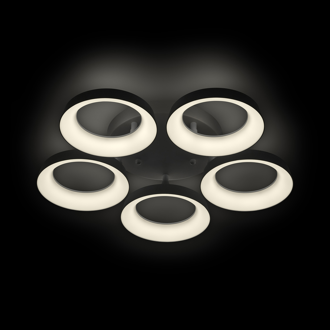 Потолочная люстра Ritter Verona 52013 9