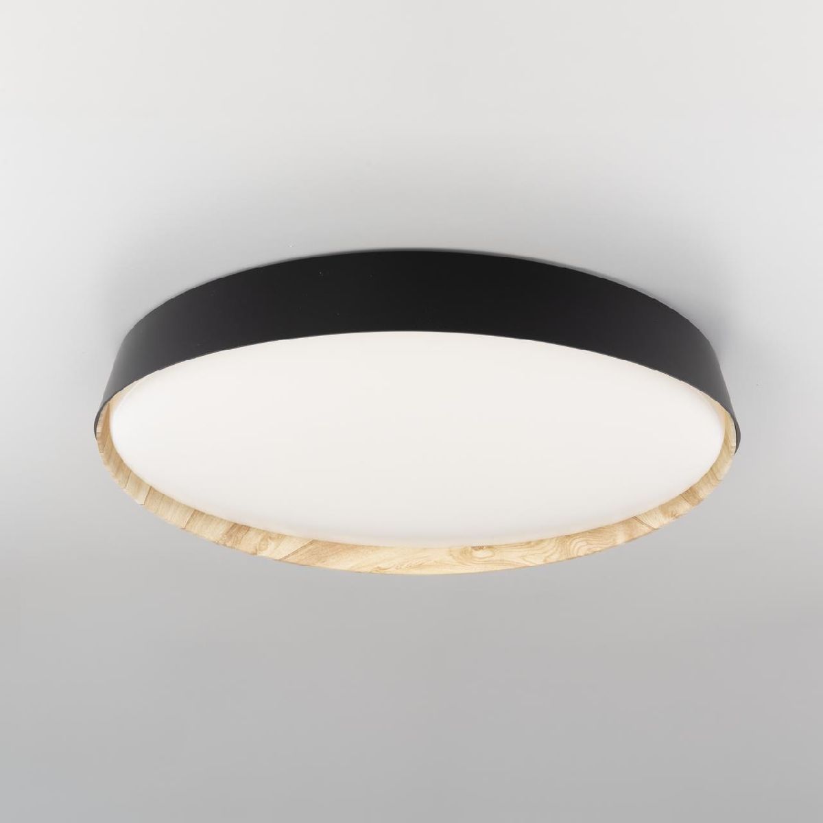 Потолочный светильник Citilux Bonny CL754451G