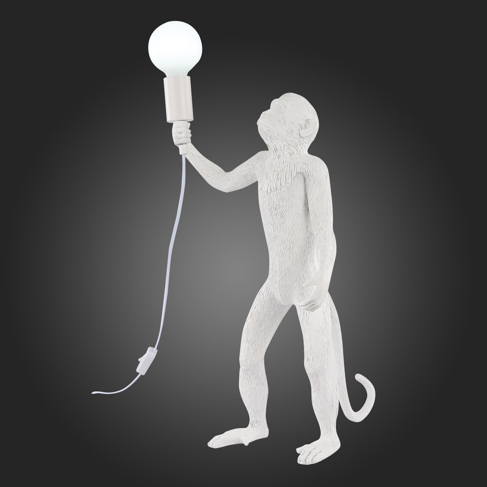 Настольная лампа Evoluce Tenato SLE115114-01