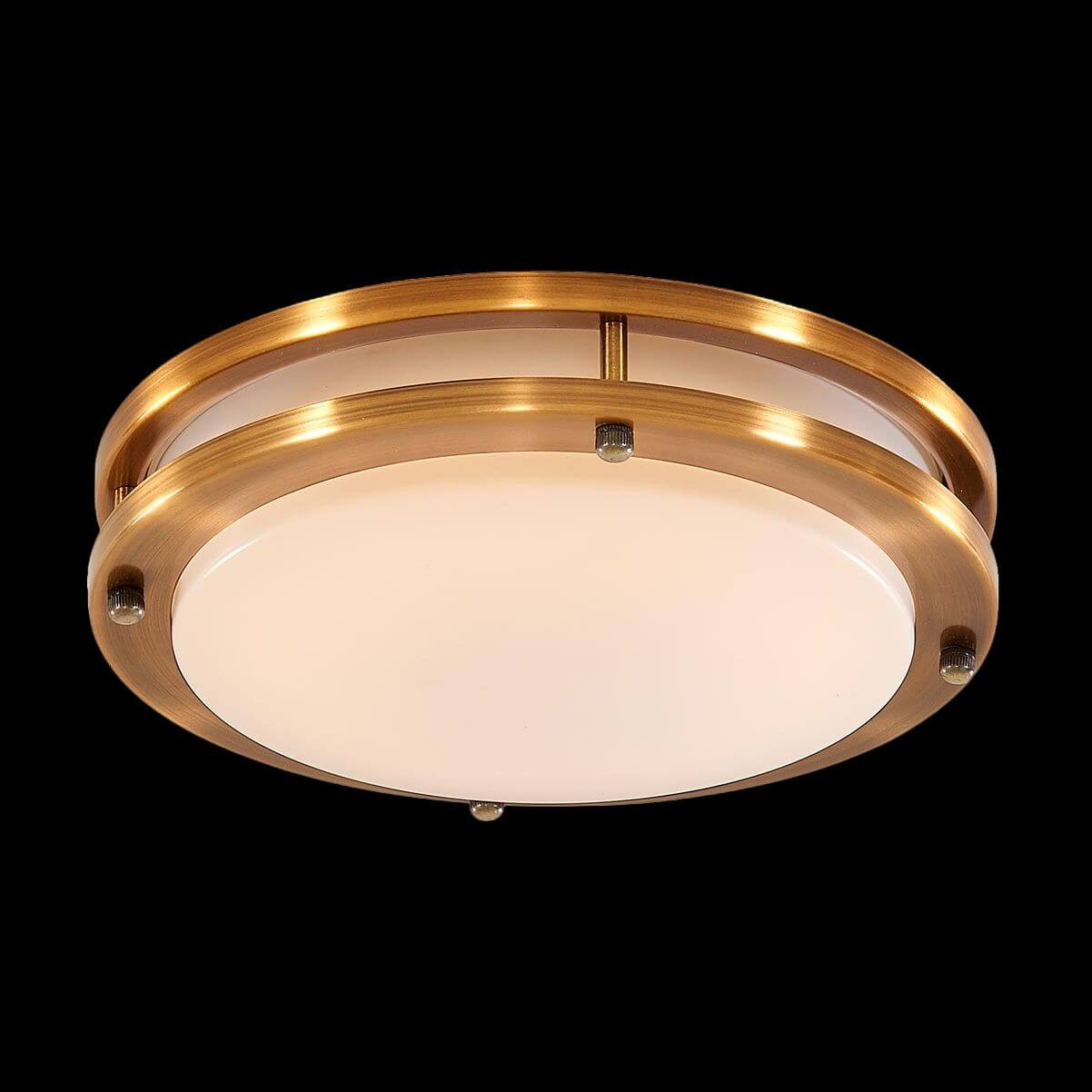 Потолочный светодиодный светильник Citilux Бостон CL709153