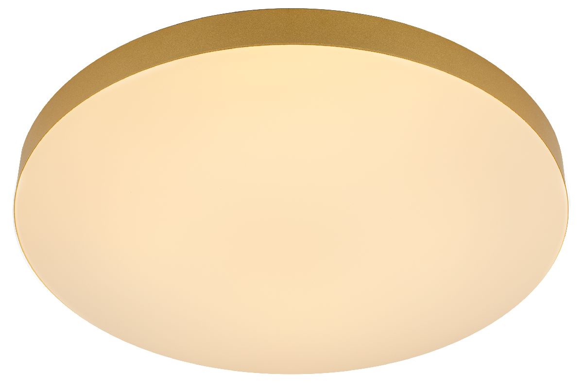 Потолочный светильник Эра Relict 48 Pult SPB-6-60-RC MG Б0059498