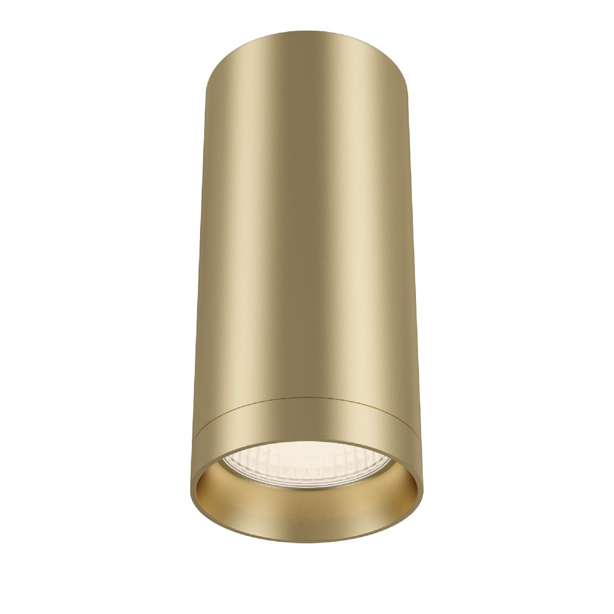 Потолочный светильник Maytoni Focus C010CL-01MG