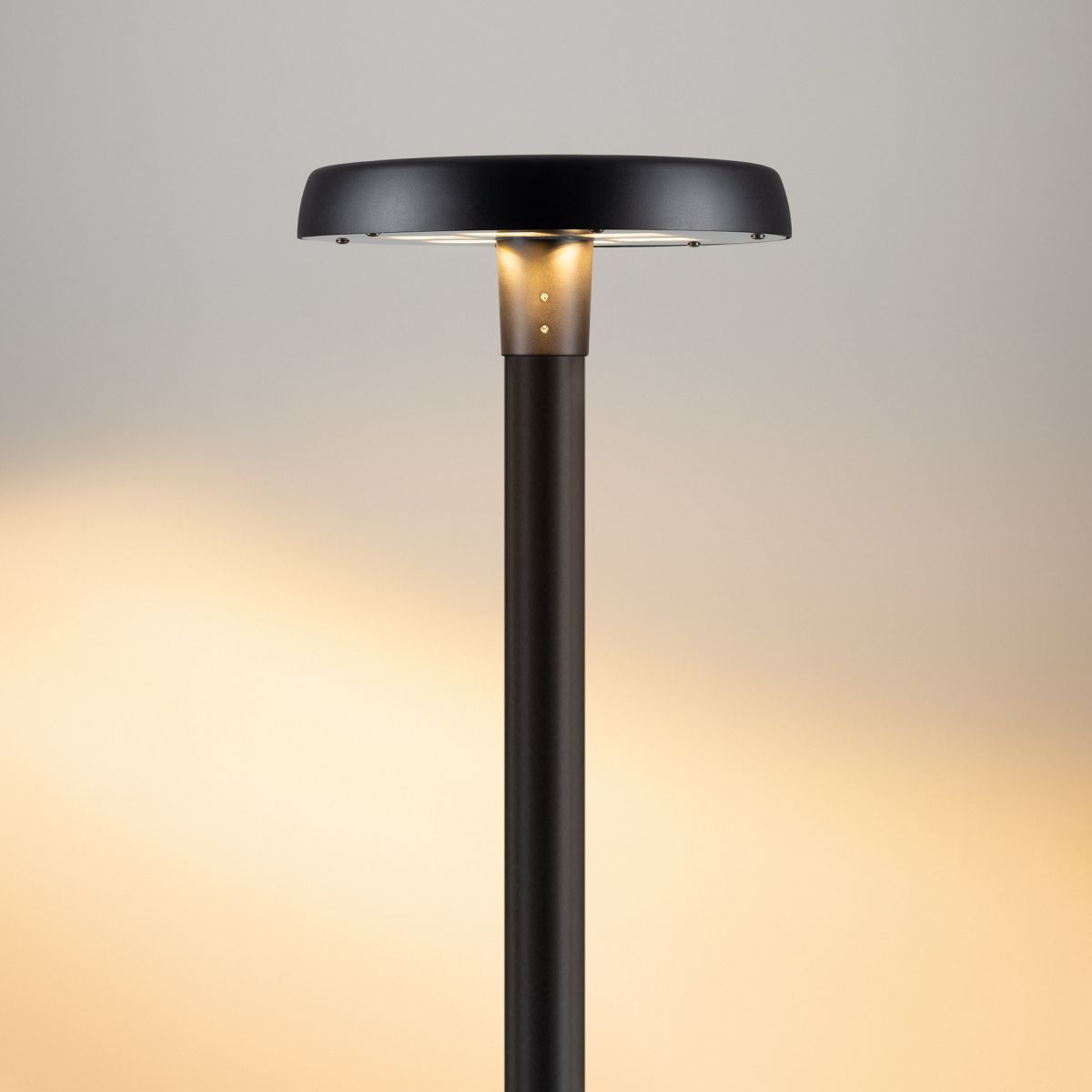 Уличный светильник Arlight ALT-CAN-50W Warm2700 (BK, 140 deg, 230V) (IP65 Металл) 060326