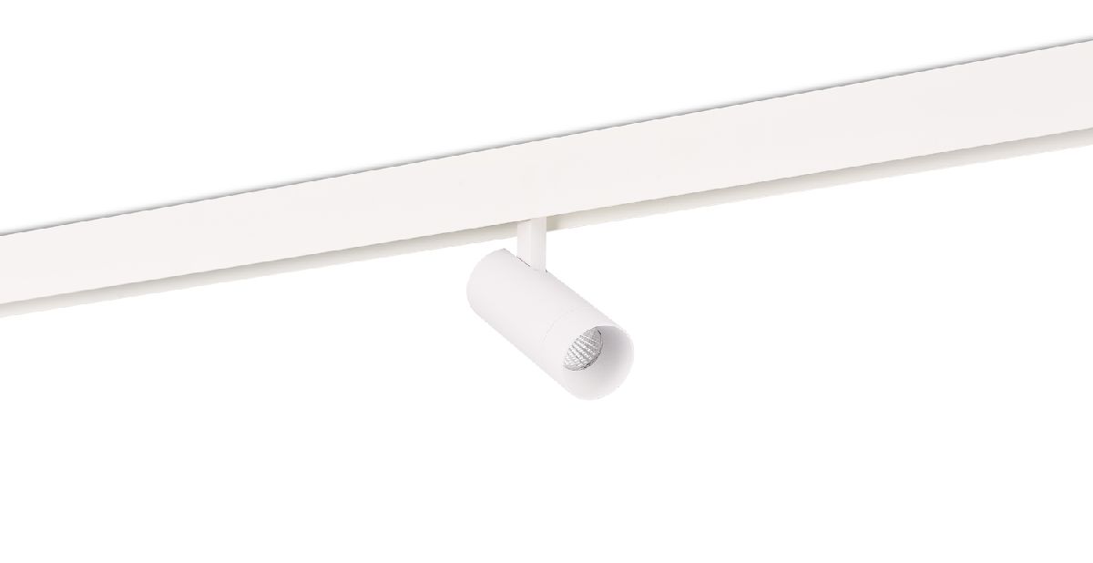 Трековый светильник Donolux Alpha DL20295TW10WTuya