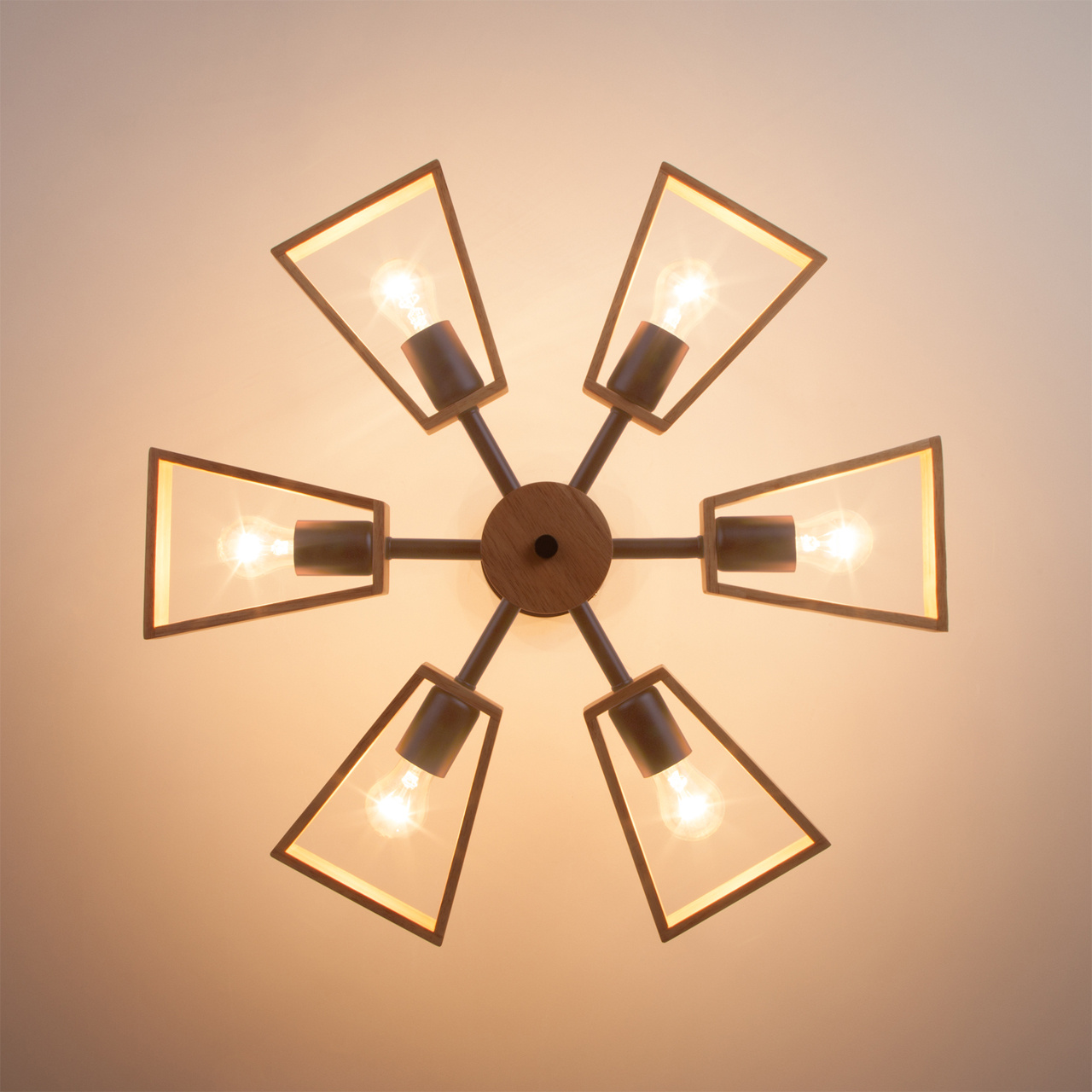 Потолочная люстра Eurosvet Klark 70056/6 кофе