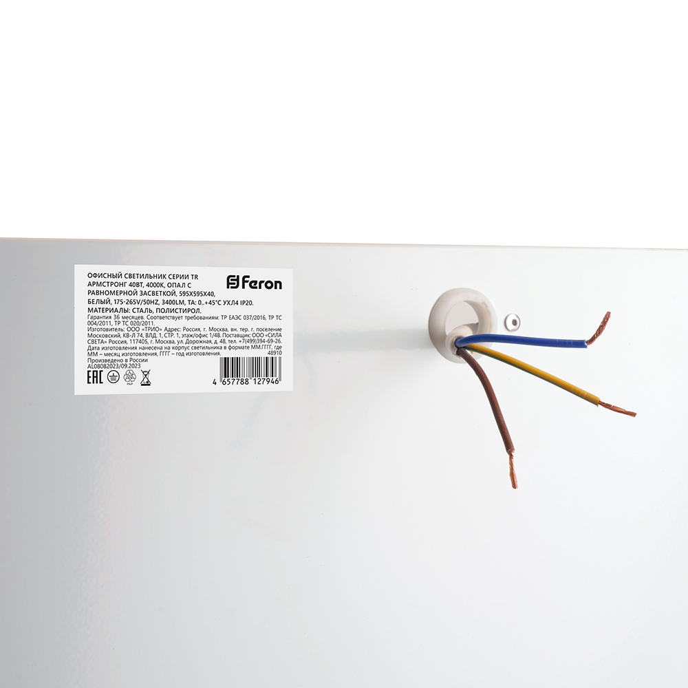 Потолочный светильник Feron TR Армстронг 48910