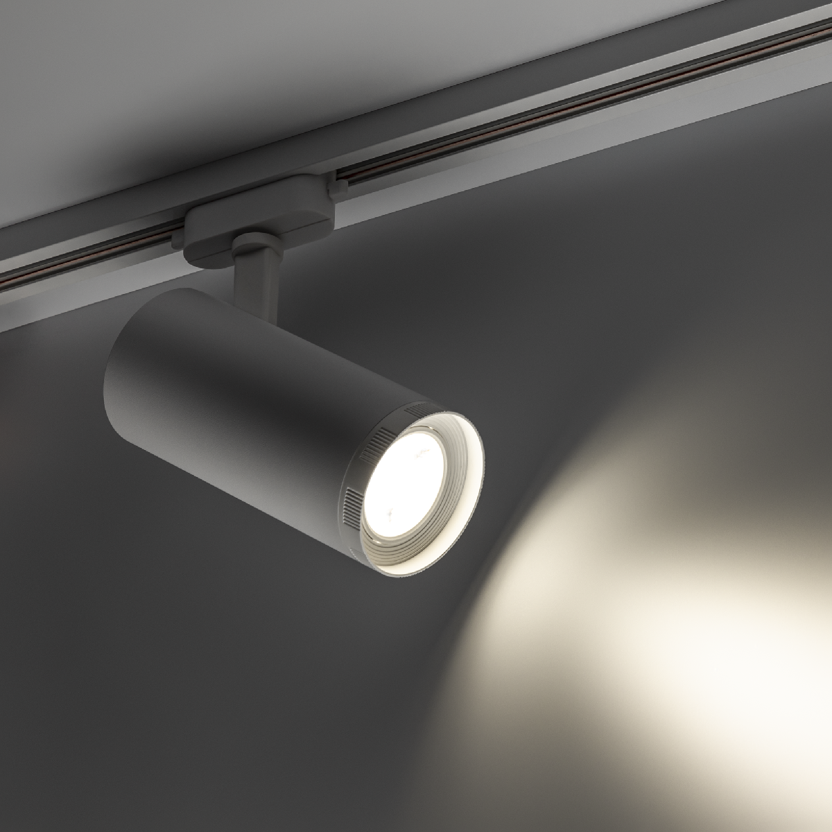 Трековый однофазный светильник Ritter Artline 59739 5 УЦ