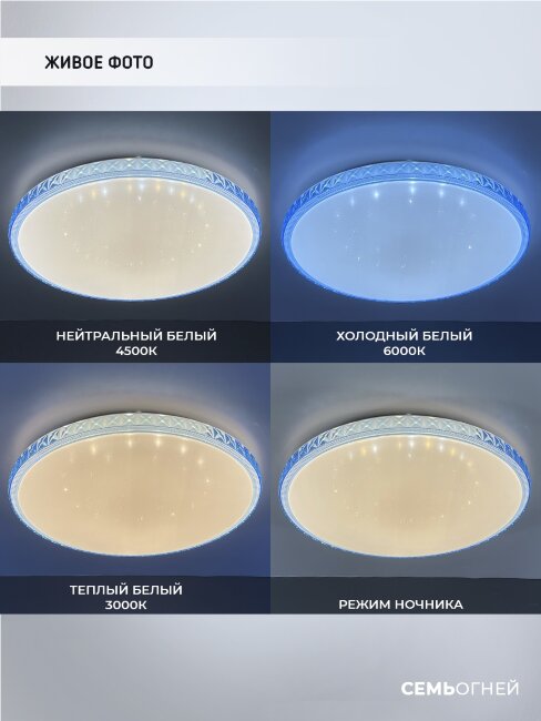 Потолочный светильник Seven Fires Эйри 48013.45.72.77BL