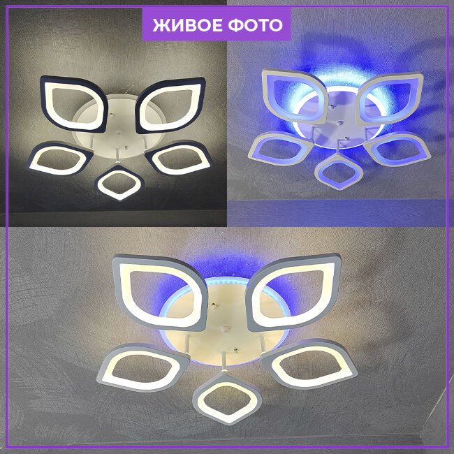 Потолочная люстра Wedo Light Tanis 75226.01.09.05