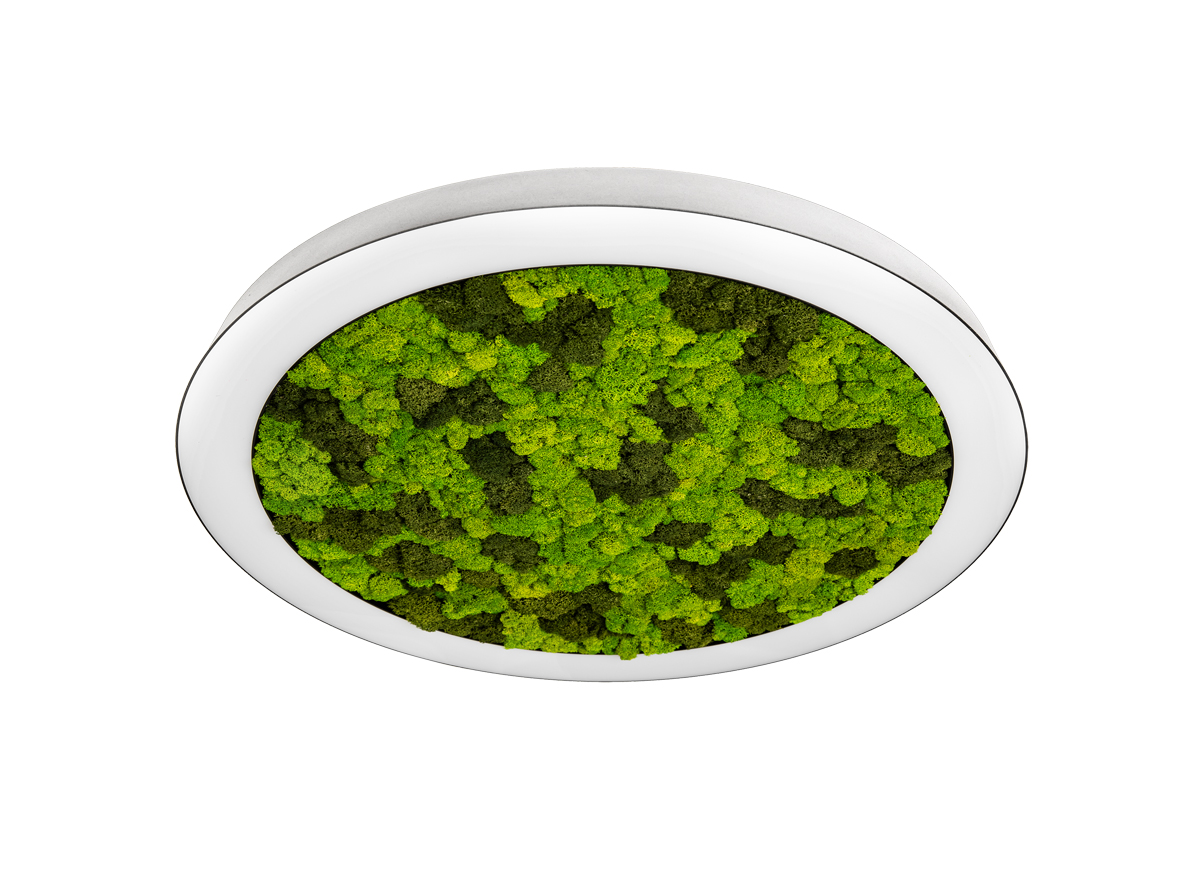 Потолочная люстра Donolux Aura Moss DL600C54WW Moss White