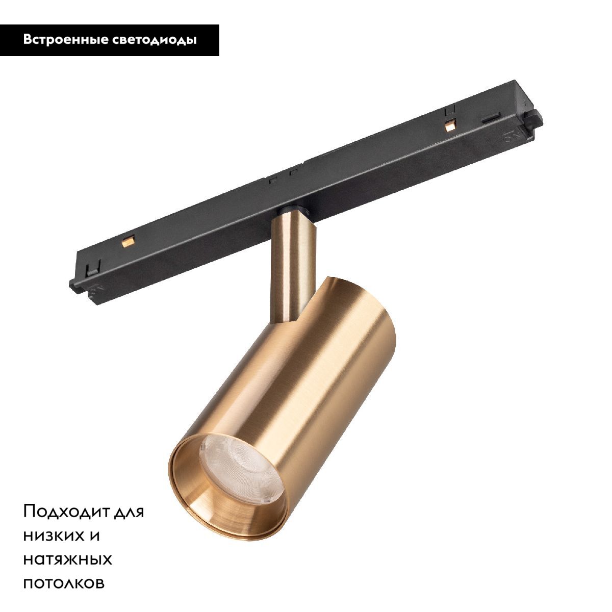 Трековый магнитный светильник Arlight MAG-ORIENT-SPOT-R45-12W Warm3000 (GD, 24 deg, 48V, DALI) 040891