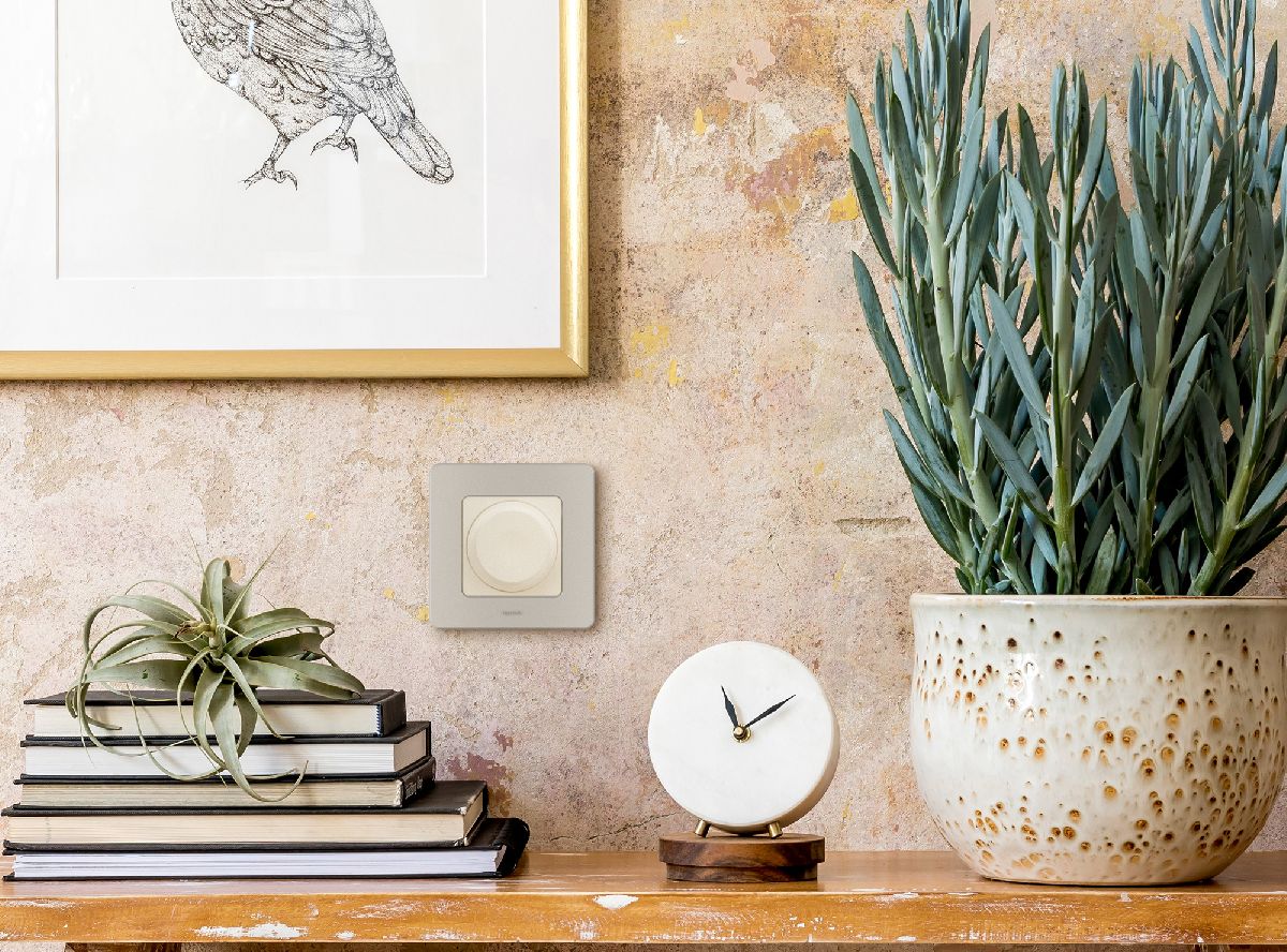 Рамка одноместная Legrand Inspiria 673938