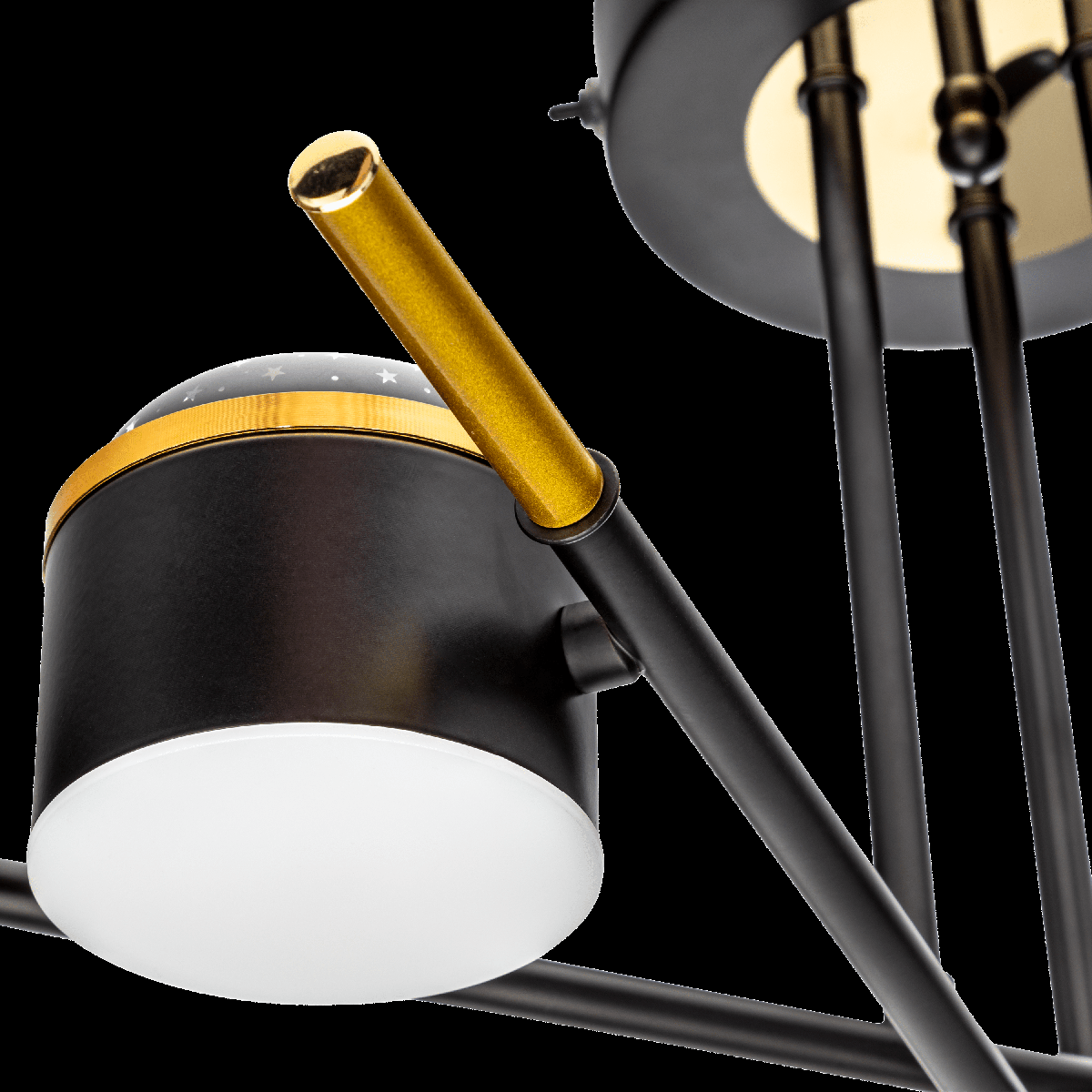 Потолочная люстра Ritter Notte 51631 0