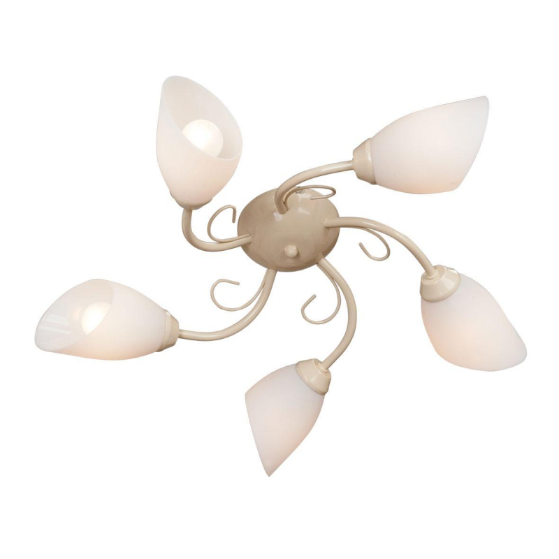 Потолочная люстра Vitaluce V3198/5PL