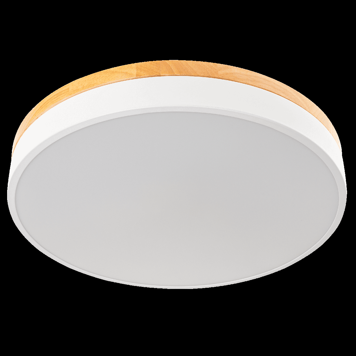 Потолочный светильник Ritter Snello 51623 5