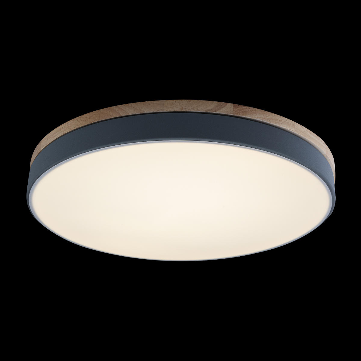 Потолочный светильник Loft IT AXEL 10001/36 Grey