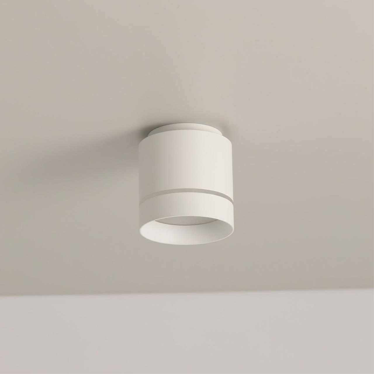 Накладной светильник Citilux Борн CL745020N в Москве