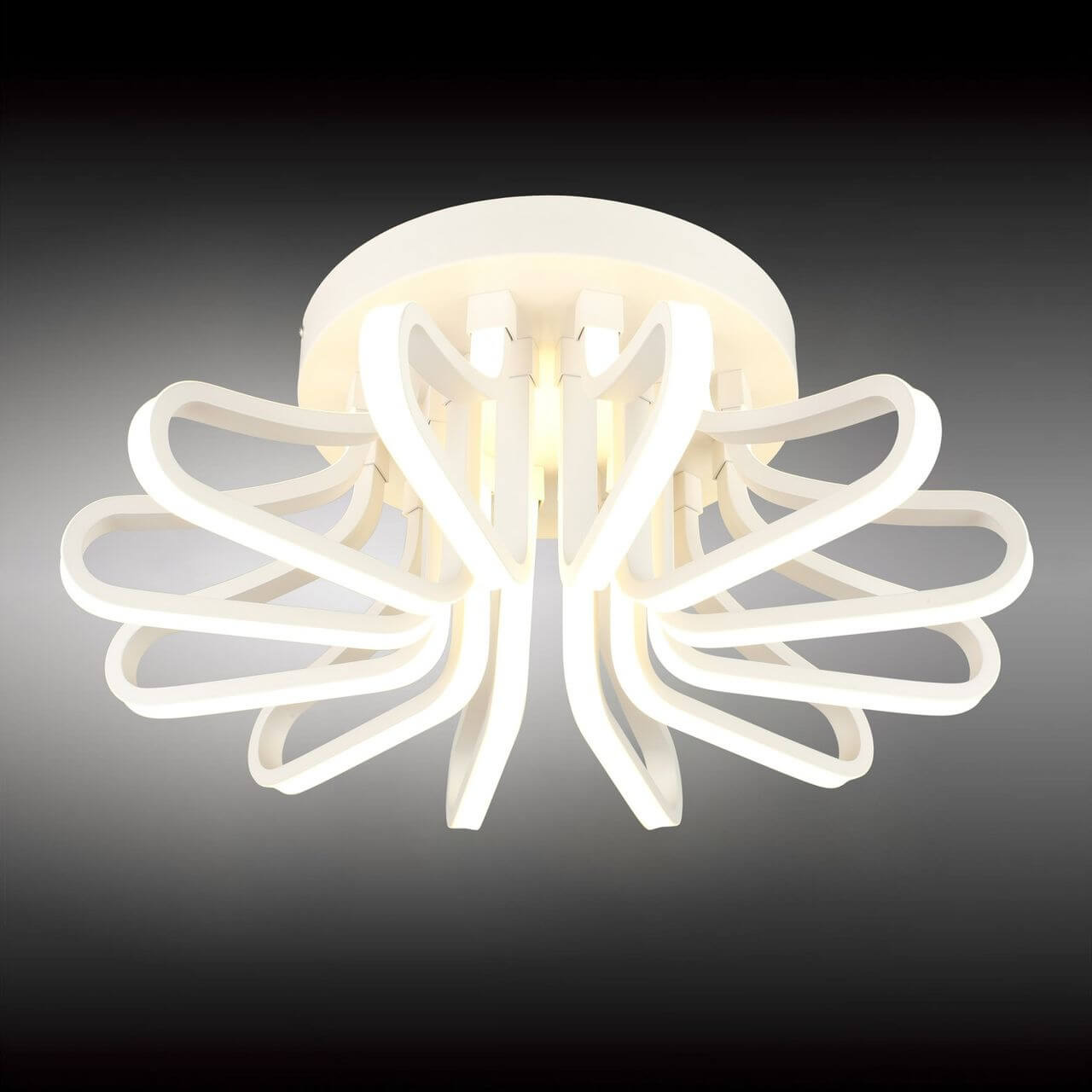 Потолочный светодиодный светильник Omnilux Giuliana OML-18907-132