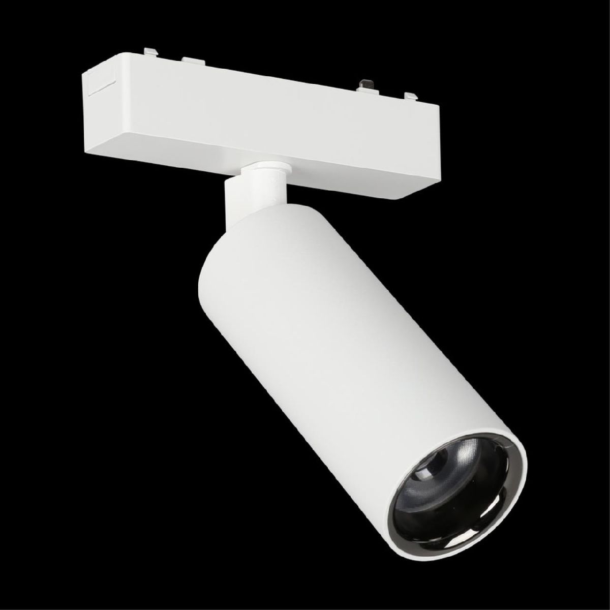 Трековый магнитный светильник Aployt Magnetic track 48 APL.0115.10.18