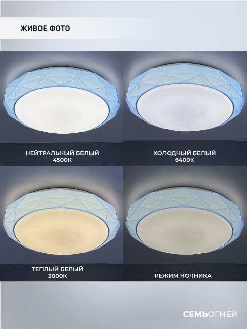 Потолочный светильник Seven Fires Эйри 48012.35.30.77BL