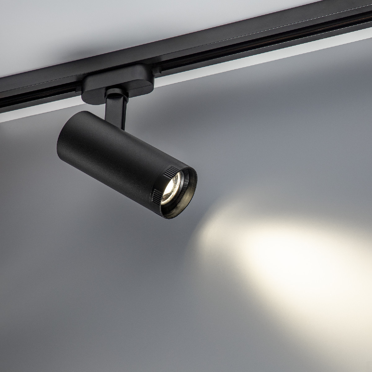 Трековый однофазный светильник Ritter Artline 59740 1